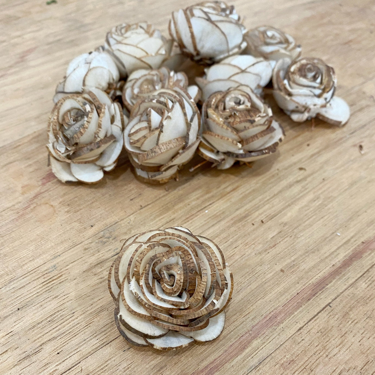 Spud™ set of 12 - 1.5 inches _sola_wood_flowers