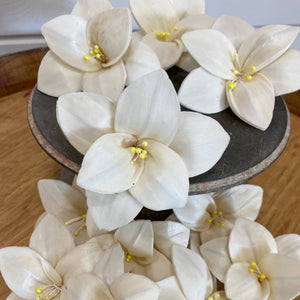 Trillium™ - set of 12 - 3 inches _sola_wood_flowers