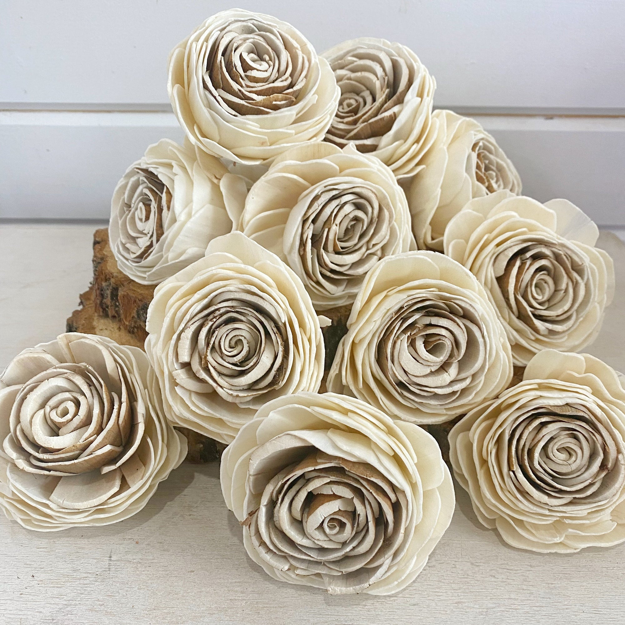 Harvest Rose™- set of 12- 3 inches