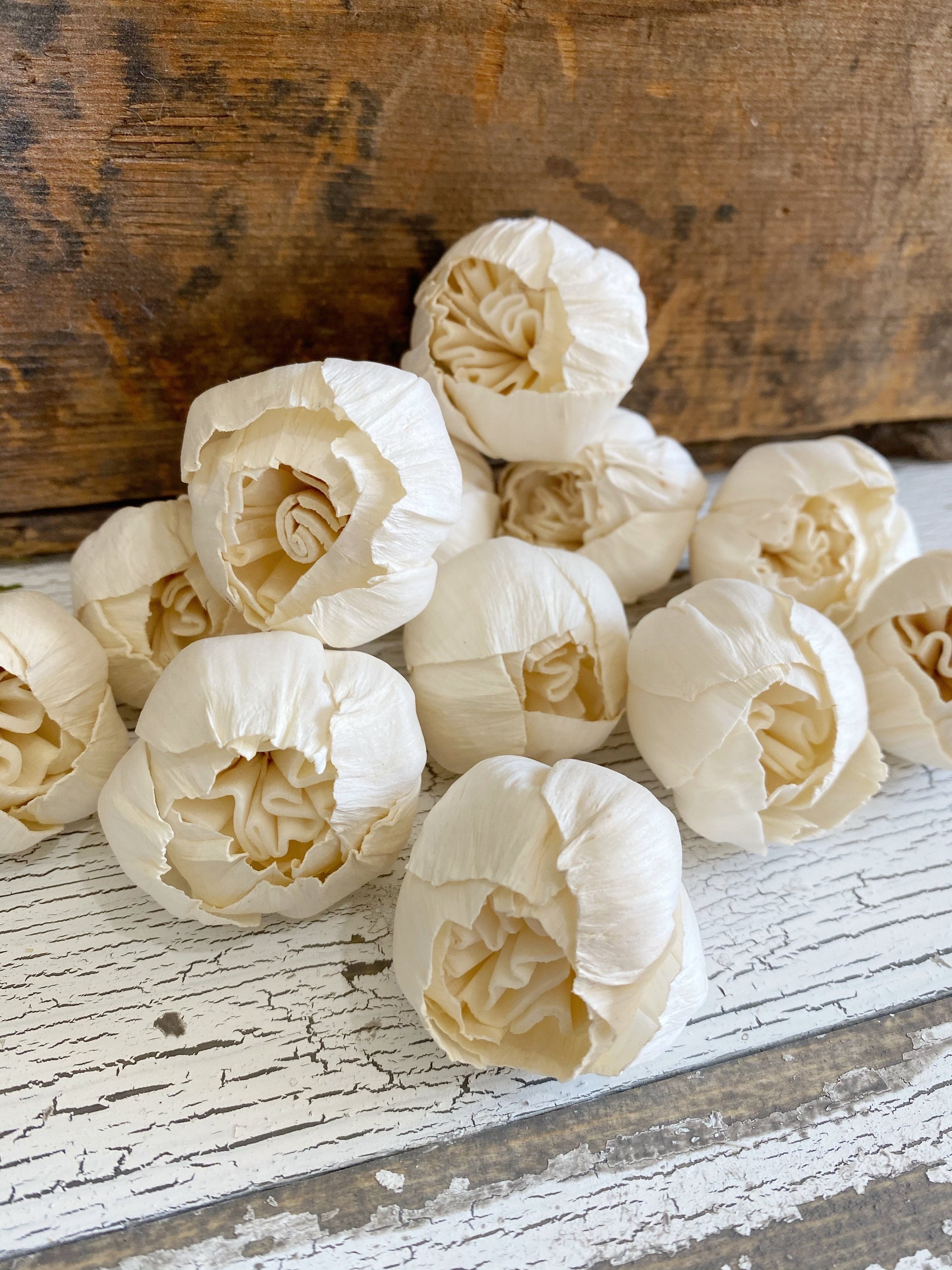 Cottage Rose Buds™- Set of 12 _sola_wood_flowers
