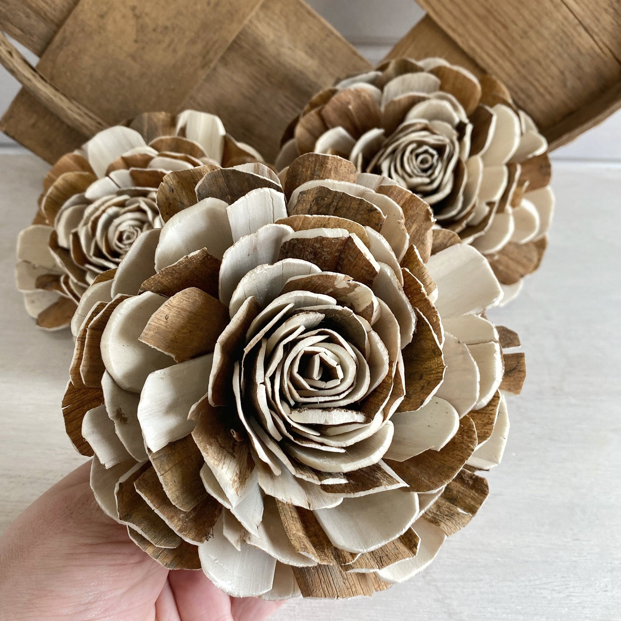 Wood Rose | X-Large | Set of 3