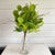 Fern and Eucalyptus Mix - faux