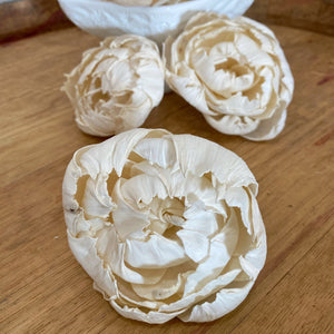Ruffled Peony™  4 inch - Set of 6 _sola_wood_flowers