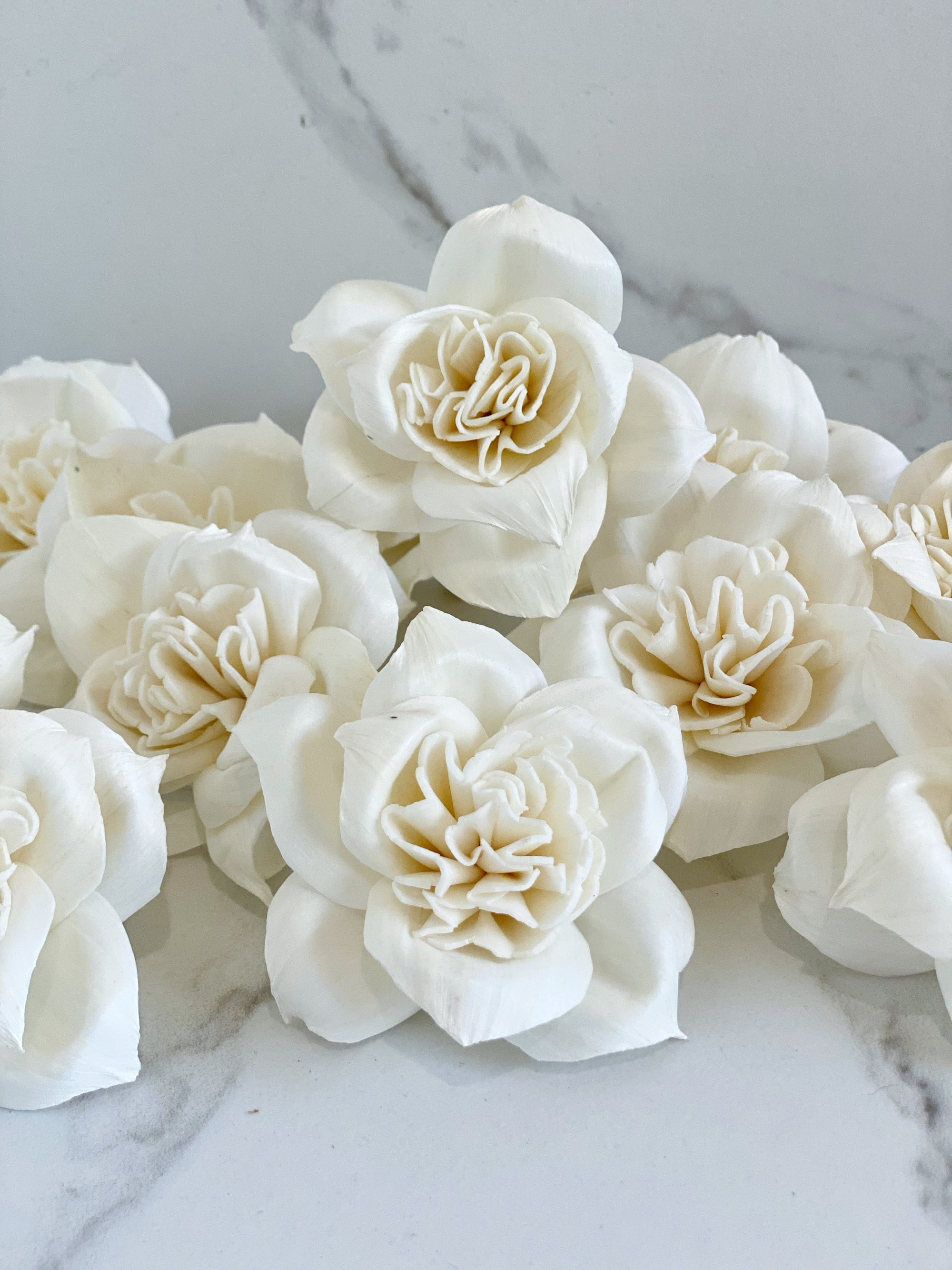 Damask ™ | set of 12 | 2.5 inches