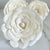 Double Begonia ™ | set of 3 | XL 5 inches