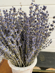 Lavender- Dried/Natural - Old English _sola_wood_flowers