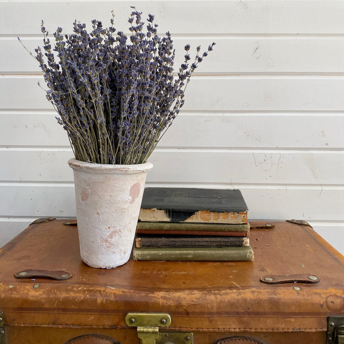 Lavender- Dried/Natural - Old English _sola_wood_flowers