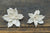 Jasmine - set of 12- 1.5 inches _sola_wood_flowers