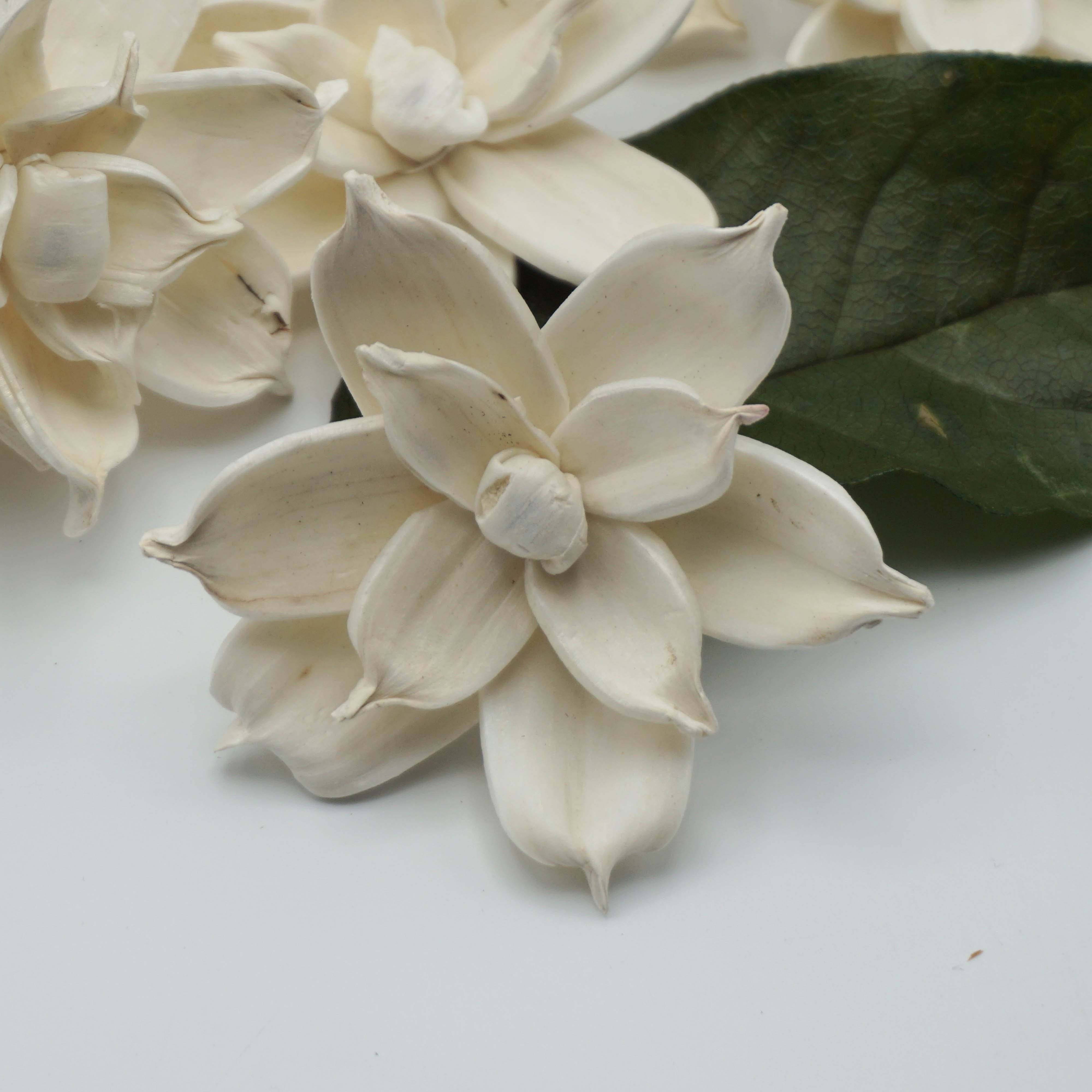 Jasmine - set of 12- 2.5 inches _sola_wood_flowers