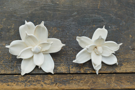 Jasmine - set of 12- 2.5 inches _sola_wood_flowers