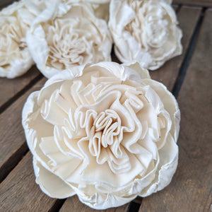 Juliet Rose™- set of 12 - 3 inches _sola_wood_flowers