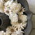Luxe Mini Mix™ - 3 dozen sola wood flowers _sola_wood_flowers