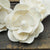 Magnolia Flower  - set of 12 - 2.5 inches _sola_wood_flowers