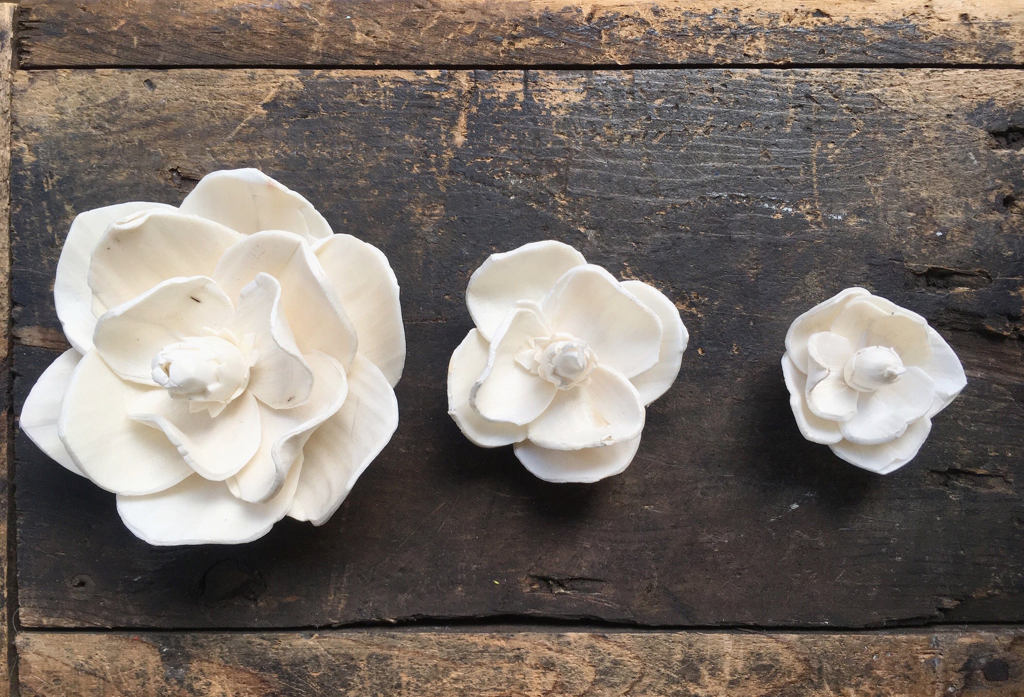 Magnolia Flower  - set of 12 - 3 inches _sola_wood_flowers