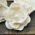 Magnolia Flower  - set of 12 - 3 inches _sola_wood_flowers