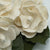 Magnolia Flower  - set of 12 - 4 inches _sola_wood_flowers