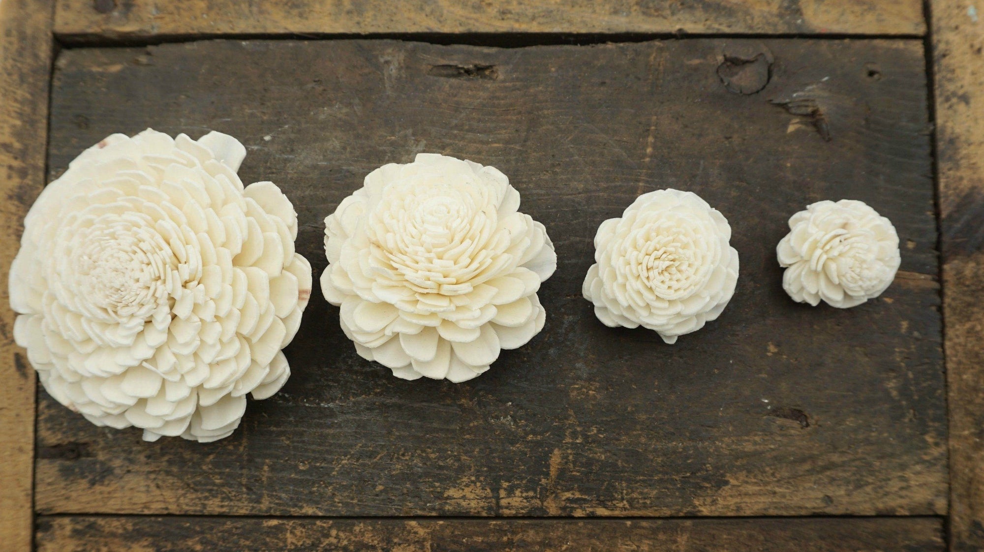Marigold - set of 12 - 1.5 inches _sola_wood_flowers