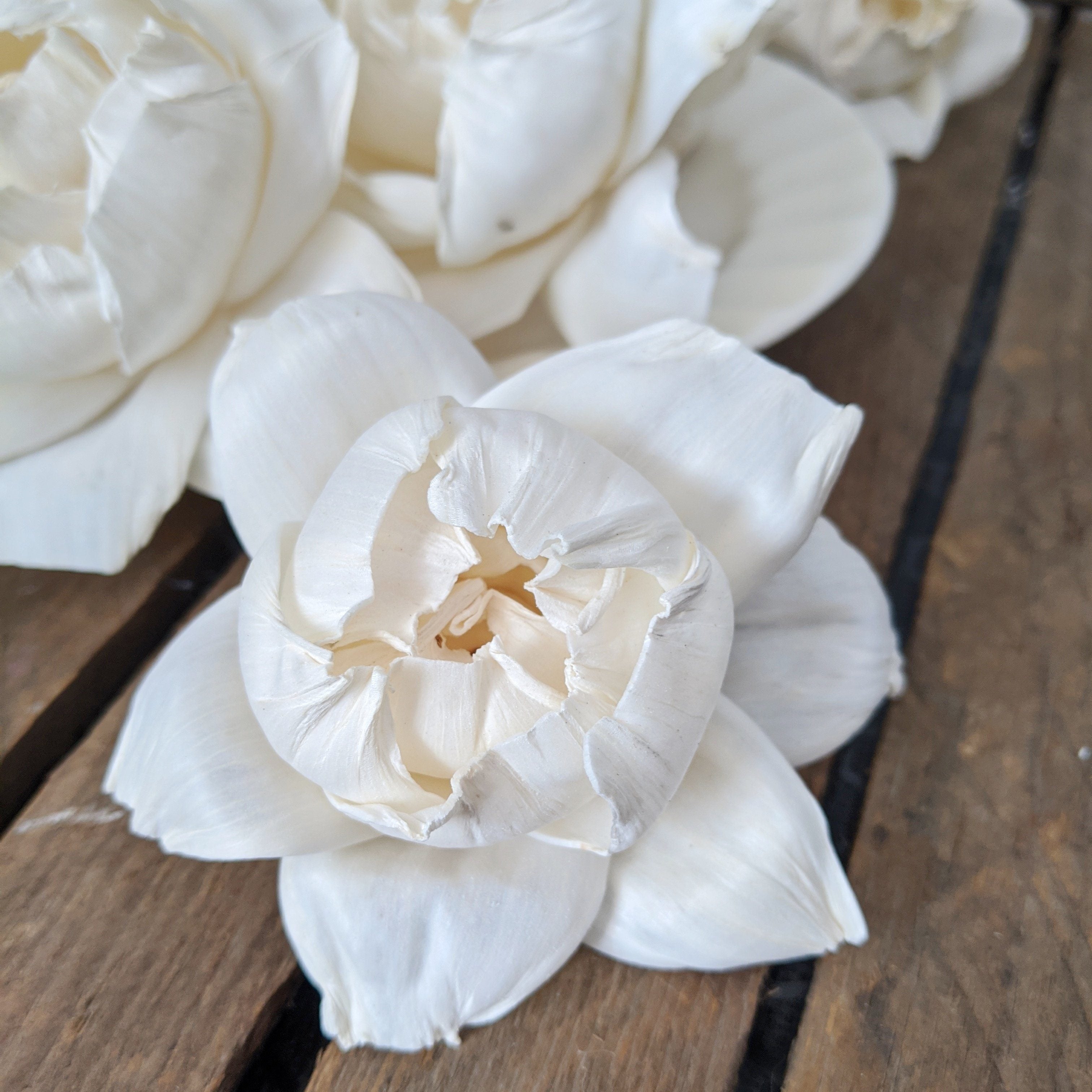 Matured Peony™  set of 12 - 3 inches _sola_wood_flowers