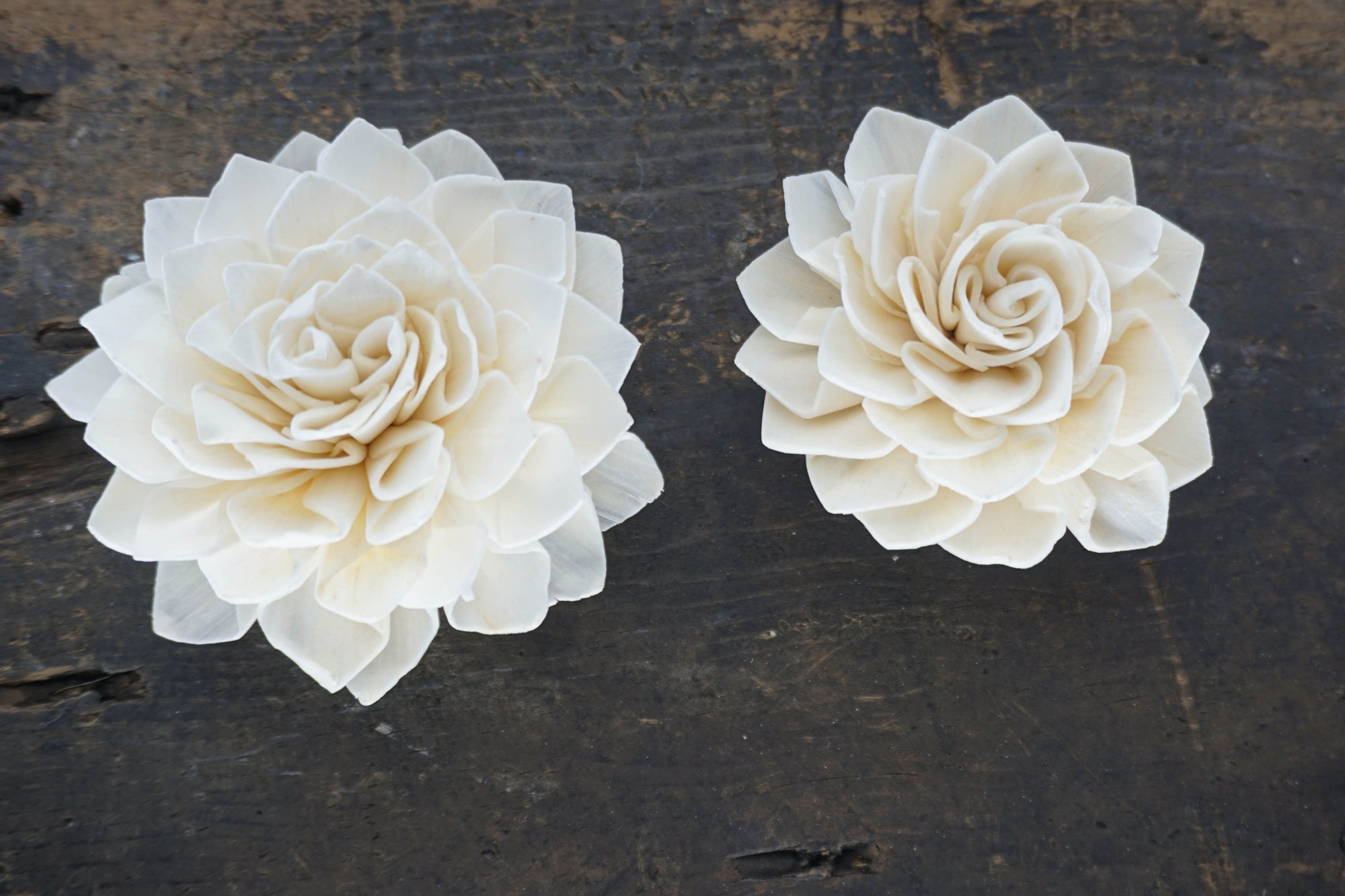 Miss Ivy™- set of 12 - 2.5 inches _sola_wood_flowers