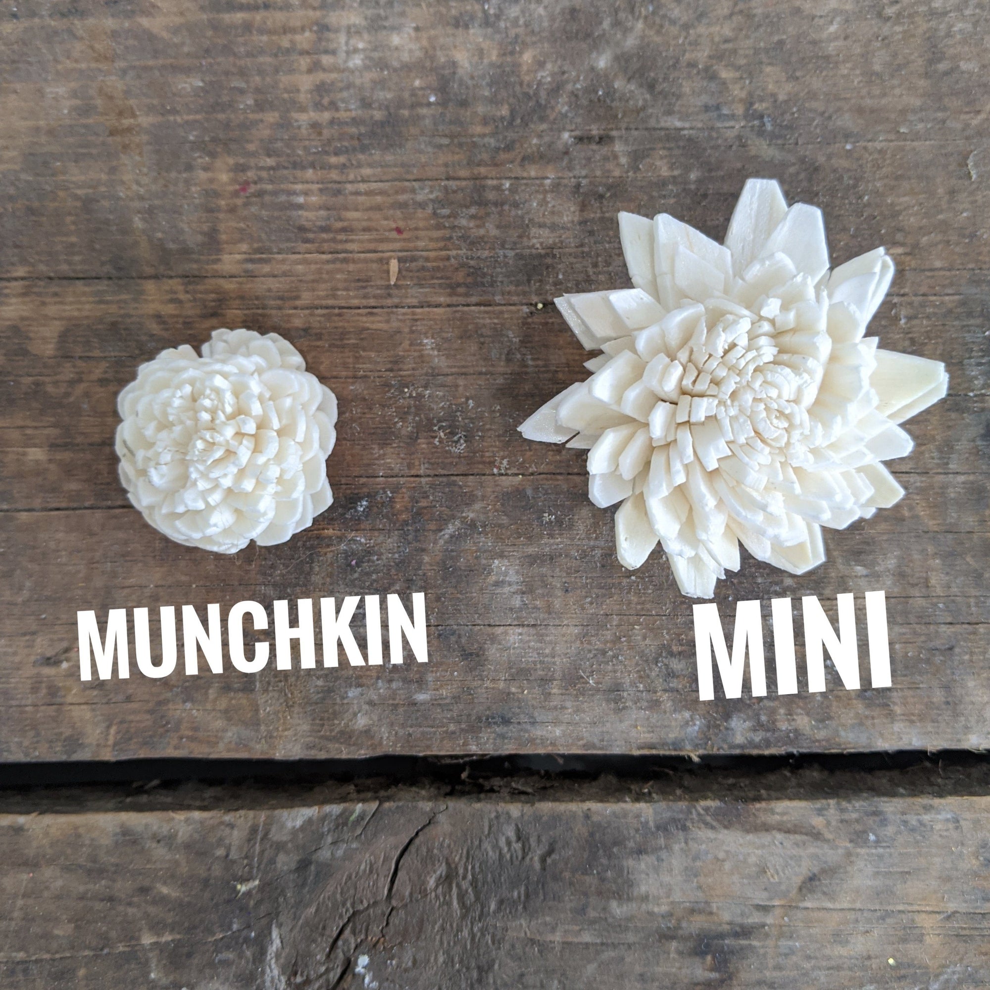 Munchkin Assortment™ set of 50