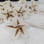 North Star™- set of 12-  2 inches _sola_wood_flowers