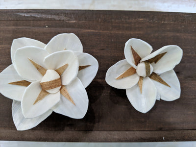 North Star™- set of 12-  2.5 inches _sola_wood_flowers
