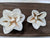North Star™- set of 12-  2.5 inches _sola_wood_flowers