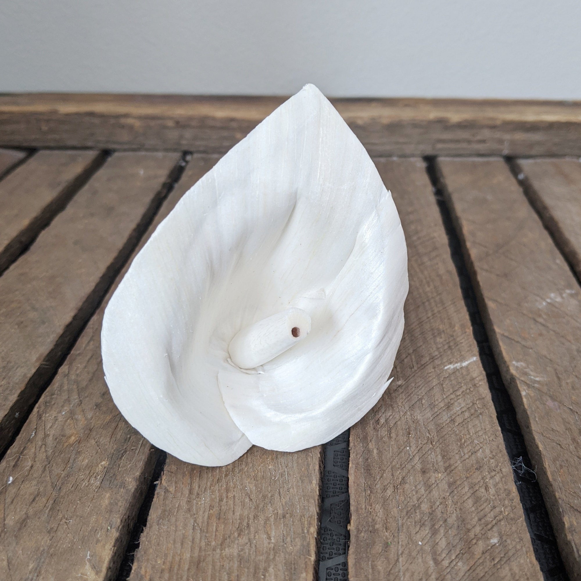 Peace Lily - set of 6 - 3" _sola_wood_flowers