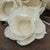 Poppy - set of 12 - 2 inches _sola_wood_flowers