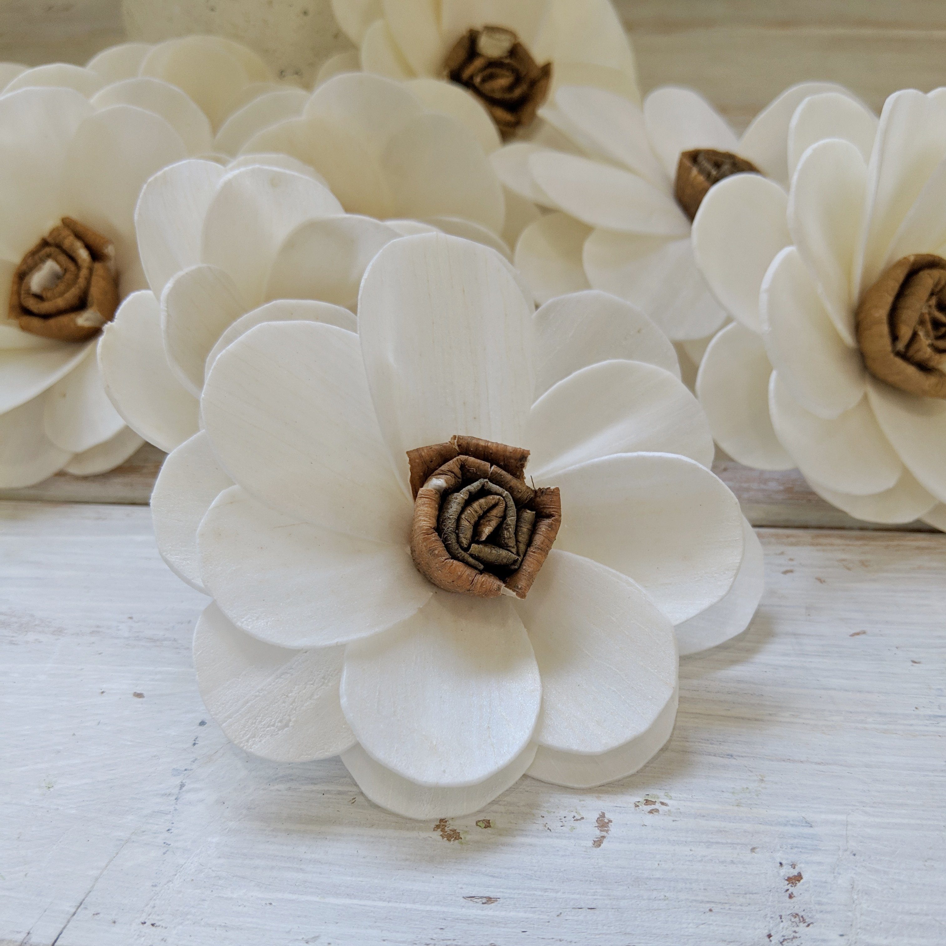 Sensation™- set of 12 _sola_wood_flowers