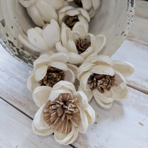 Spellbound™ Sola Flower  - set of 12-  1.5 Inches _sola_wood_flowers