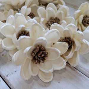 Spellbound™ Sola Flower  - set of 12-  2.5 Inches _sola_wood_flowers