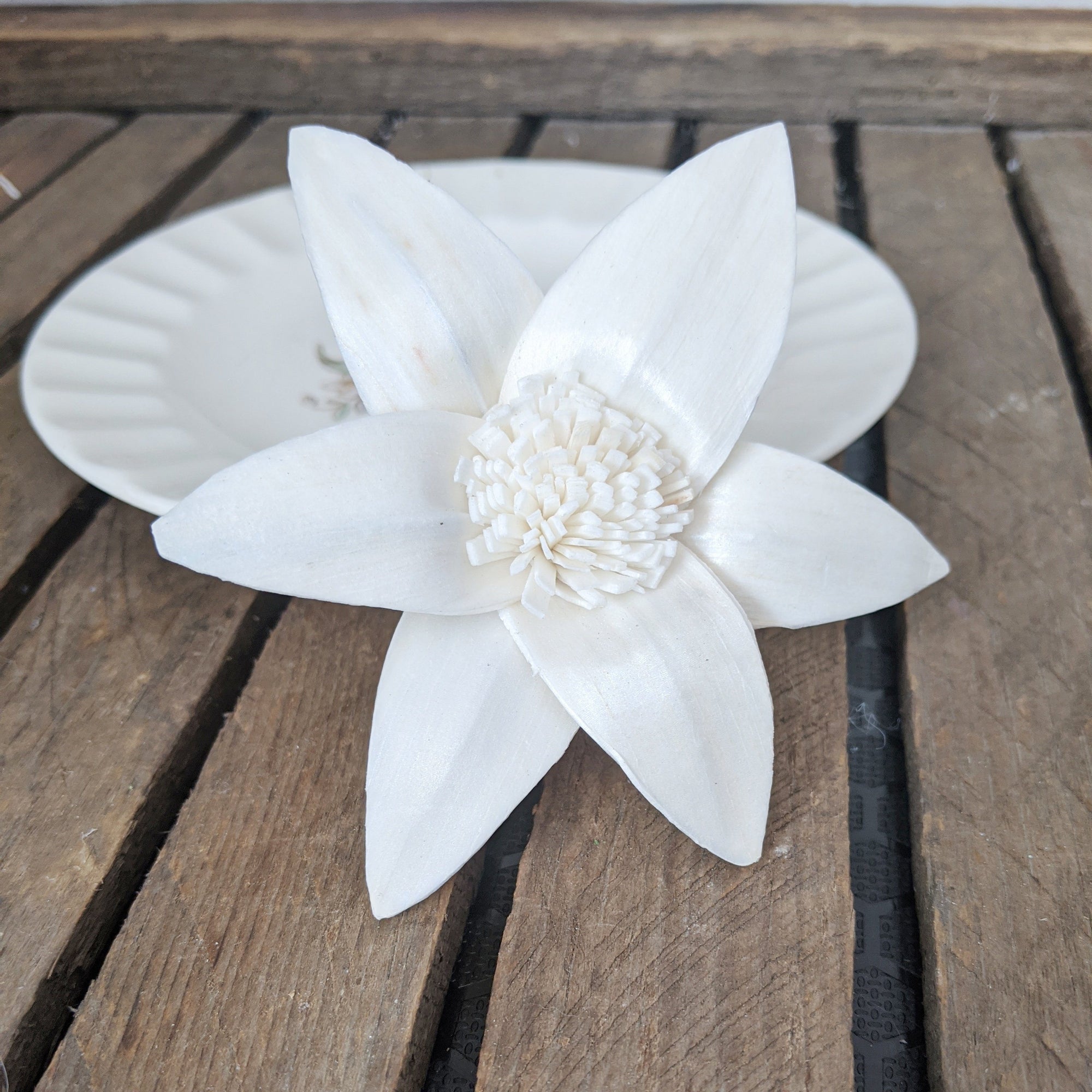 Star Lily - set of 12 - 3 inches _sola_wood_flowers