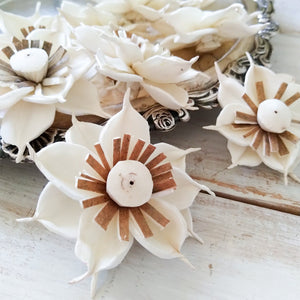 Starburst™- set of 12-  2.5 inches _sola_wood_flowers