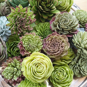 50 succulent plants Succulent Assortment - set of 50 - Oh! You're Lovely