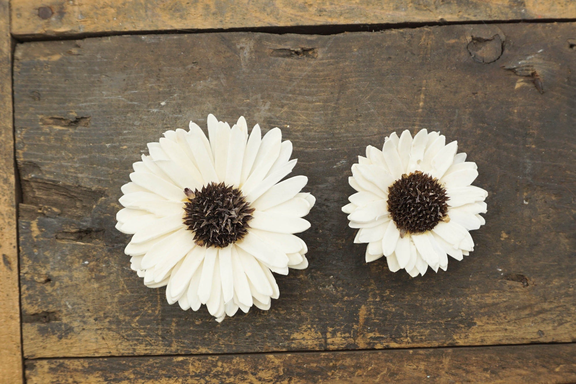 Sunflower - set of 12 - 3 inches _sola_wood_flowers