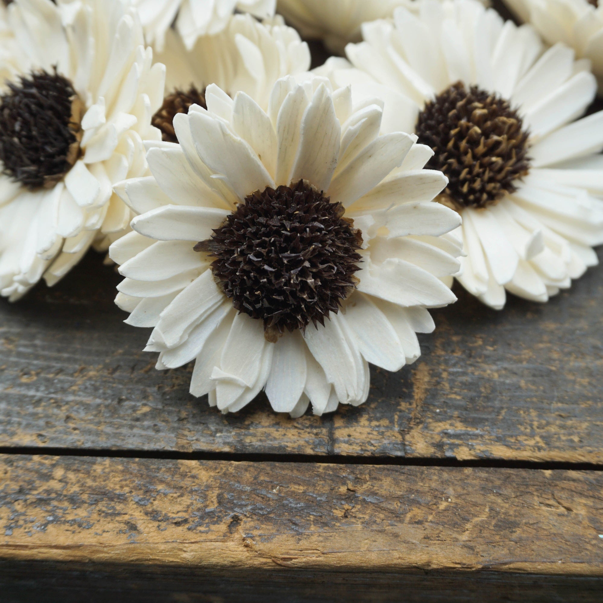 Sunflower - set of 12 - 3 inches _sola_wood_flowers