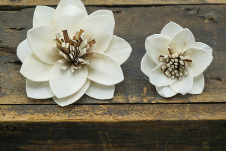 Twinkle™- set of 12 - 2.5 inches _sola_wood_flowers