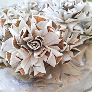 Vanilla Twist™ - set of 12-  2.5 inches _sola_wood_flowers
