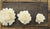 Waterlily - set of 12- 1.5 inches _sola_wood_flowers