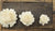 Waterlily - set of 12- 3 inches _sola_wood_flowers