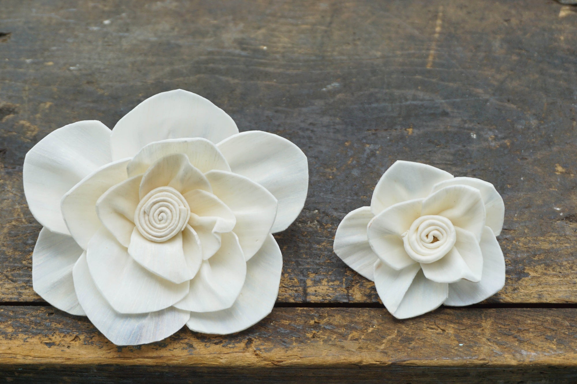 Whirl™ flower - set of 12- 3 inches _sola_wood_flowers