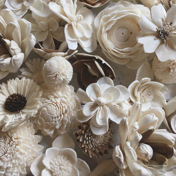 wildflower-assortment-set-of-