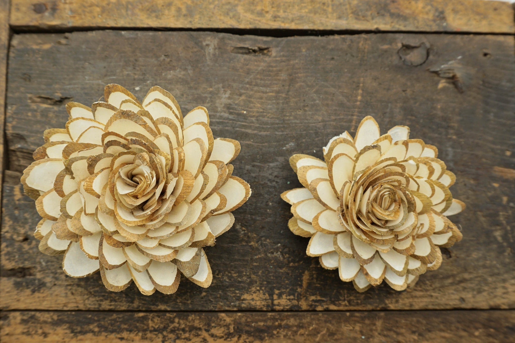 Woodland Lily™- set of 12- 2.5 inches _sola_wood_flowers