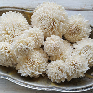 Zinny™ - Size Assortment - Set of 50 _sola_wood_flowers